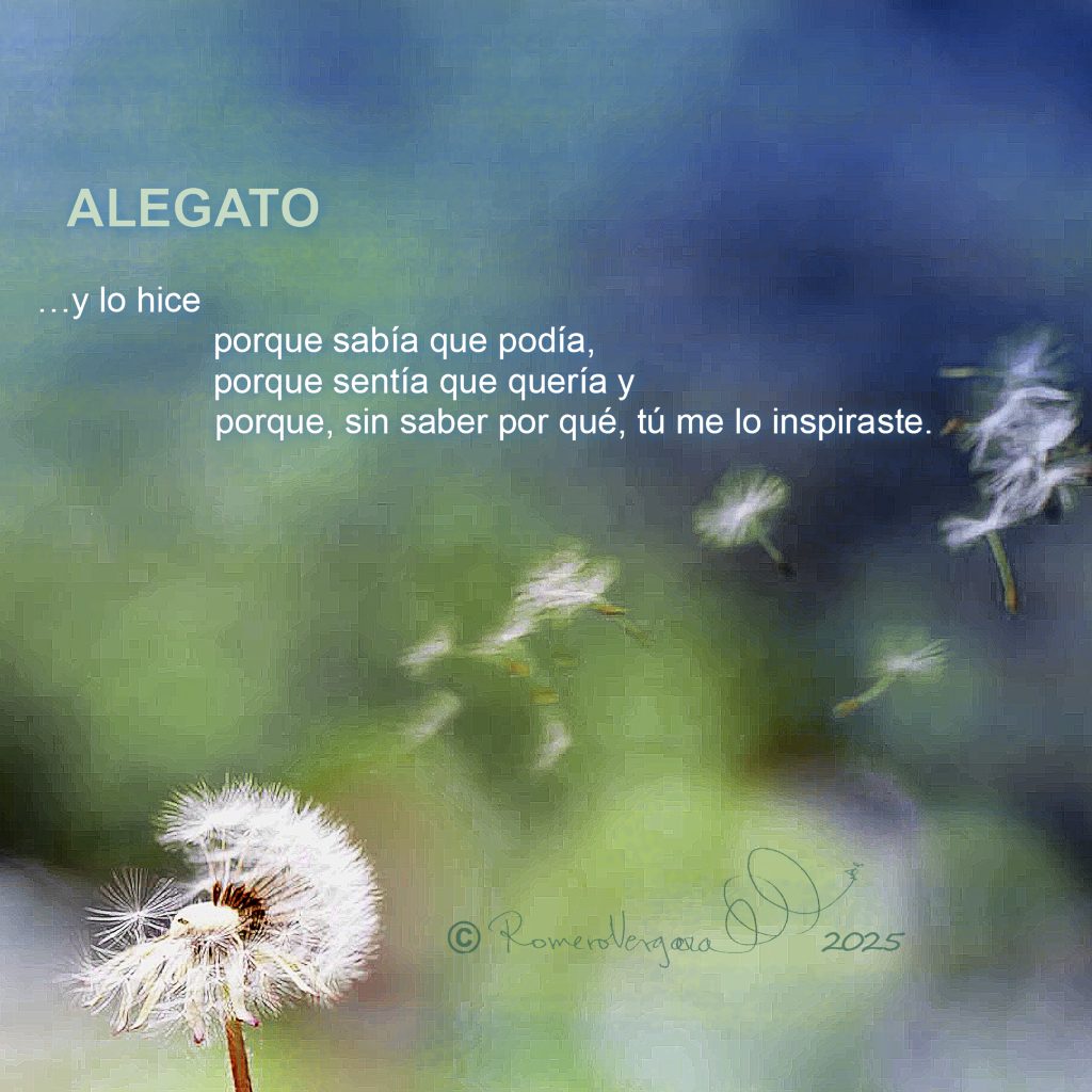 ALEGATO (1)