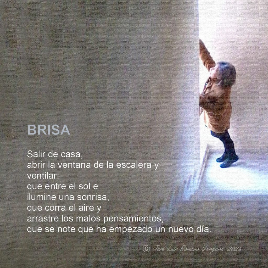 BRISA